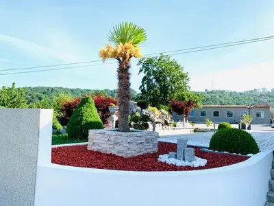 a palm tree in a garden in a park at Villa a Chaudfontaine in Chaudfontaine