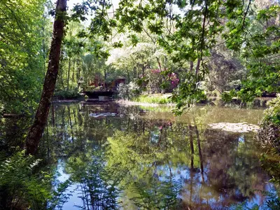 a pond in the middle of a park with trees at Fishing Chalet, Opglabbeek in Oudsbergen