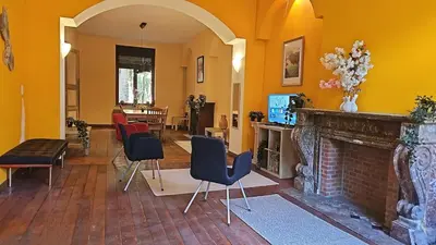 a living room with chairs and a fireplace at Charlemagne house in Liège