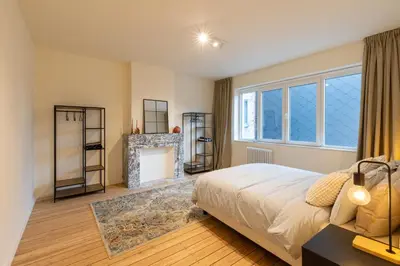 a bedroom with a bed and a fireplace at Theodore Schwann - duplex centre de Liège in Liège