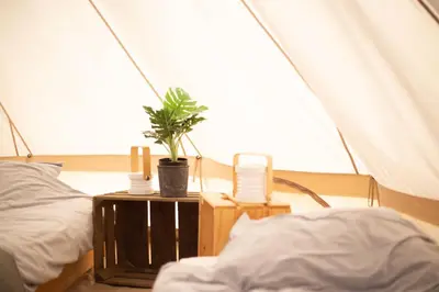 a room with two beds and a plant in a tent at Glamping met paarden in Nieuwerkerken