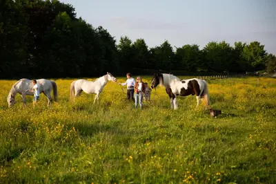 a group of people standing in a field with horses at Glamping met paarden in Nieuwerkerken