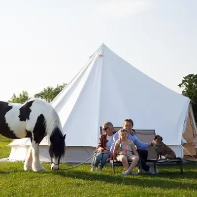 Glamping met paarden
