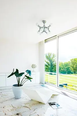 a white room with a large window and a potted plant at Villa Bianca in Dalhem