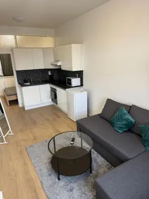 a living room with a couch and a table at Appartement fraîchement rénové de 1 chambre et Sofa Bed en plein Cœur de Liege in Liège