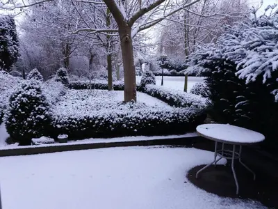 a snow covered garden with a bench and a tree at De Aventurijn in Riemst