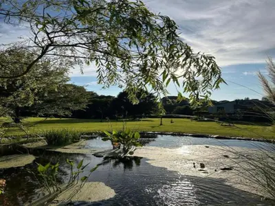a pond of water with a tree in the foreground at Limbourg Nature Retreat in Hèvremont