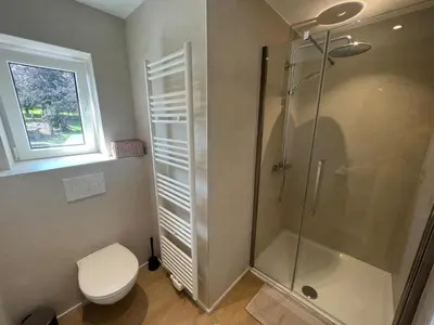 a bathroom with a shower and a toilet and a window at Maison Léon in Bilstain