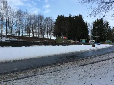 a snow covered street with trees and a road at Le Domaine Appartements in Bilstain