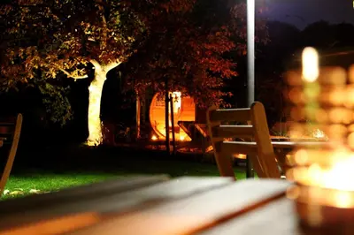 a park bench at night with a tree in the background at Maas&Mechelen B&B Massage & Wellness in Maasmechelen