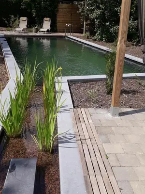 a swimming pool in a yard with some plants at Maas&Mechelen B&B Massage & Wellness in Maasmechelen