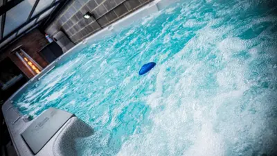 a pool of blue water with a dolphin in it at Sérénité - Espace Détente Ensival in Ensival
