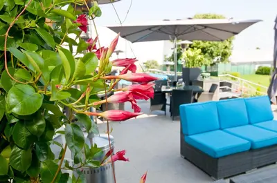 a plant with red flowers next to a blue couch at Hotel Malpertuus in Riemst