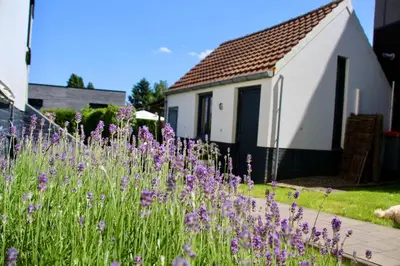 a field of purple flowers in front of a house at Belle Chique - Maastricht in Lanaken