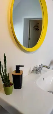 a bathroom sink with a yellow mirror and a cactus at Wetterdelle in Heers