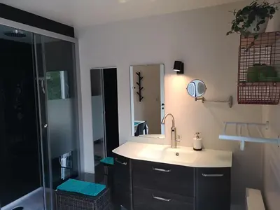 a bathroom with a sink and a shower at Vakantieverblijf Volmolen B&B in Maaseik