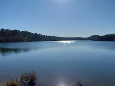 a large body of water with trees in the background at B&B Orgel Thuis in Kinrooi