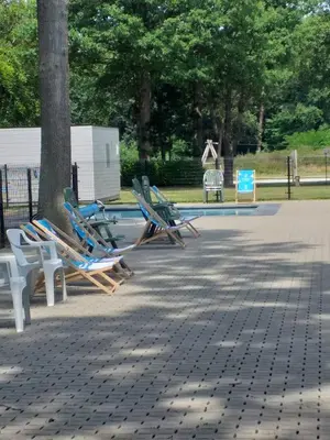 a group of lounge chairs sitting next to a tree at Den 1 Hengelhoef in Houthalen-Helchteren
