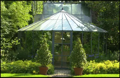 a glass greenhouse in a garden with two plants at Orshof in Oudsbergen