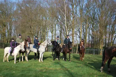 a group of people riding horses in a field at Orshof in Oudsbergen