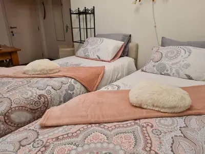 two beds with blankets and pillows in a room at La Rose in Overpelt