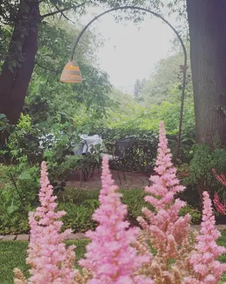 a group of pink plants in a garden at Hotel Au Nom De Dieu in Dilsen-Stokkem