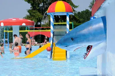 a pool with a playground with a shark on a slide at Vakantiepark Wilhelm Tell Vakantieappartement in Oudsbergen