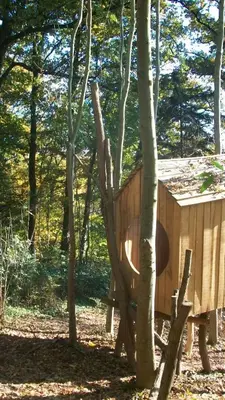 a tree house in the middle of the woods at 'tMaelhof in Voeren