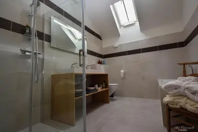 a bathroom with a shower and a sink at B&B De Bloesem in Hoeselt
