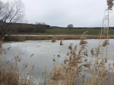 a body of water with ice and tall grass at Gite des étangs à Montzen in Plombières