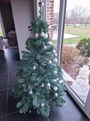 a green christmas tree sitting in a room at Gite des étangs à Montzen in Plombières