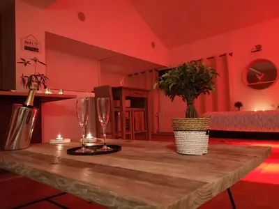 a table with two glasses and a potted plant on it at La bulle D'orée in Chaudfontaine