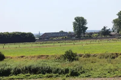 a field of green grass with a house in the background at B&B 't Goedhof in Maaseik
