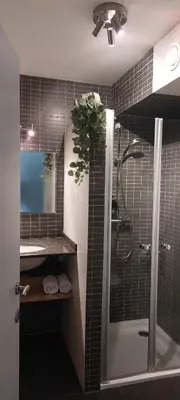 a bathroom with a shower and a sink with a plant at B&B 't Goedhof in Maaseik