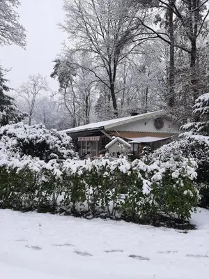 a house covered in snow with bushes and trees at Chalet 2Relax in Zutendaal