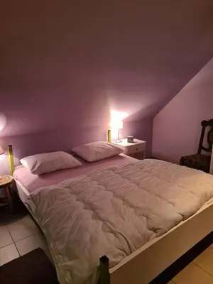 a large bed in a bedroom with a purple wall at Hemelse Helderheid in Maasmechelen