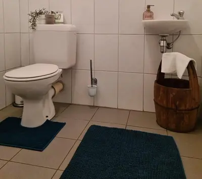 a bathroom with a toilet and a sink at Hemelse Helderheid in Maasmechelen