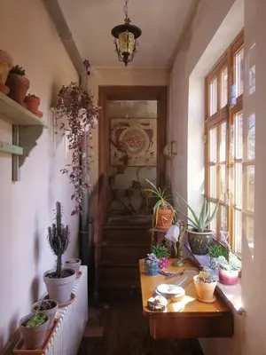a room with a table with potted plants on it at Het Domherenhuis B&B, Restaurant Calice in Heusden - Zolder