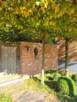 a brick building with a gate and a tree at 'Hof der Heerlijckheid' in Borgloon
