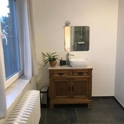 a bathroom with a sink and a mirror at De Notelaar in Kortessem