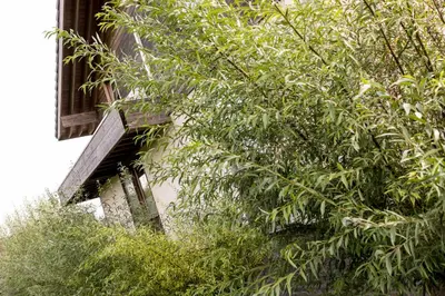 a building with a tree next to a window at StroEnzo - RUIME LOFT - 5P - 2SLPK - DAKTERRAS - LAADPAAL - 10MIN Maastricht in Riemst