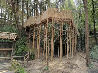 a tree house being constructed in the woods at Monastery Retreat in Blossoming Limburg in Sint-Truiden