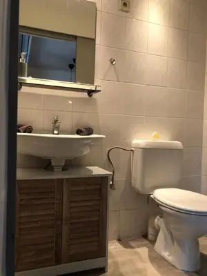 a bathroom with a toilet and a sink at Acacia 1 Hengelhoef in Houthalen-Helchteren