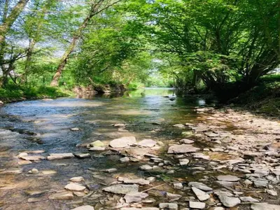 a river with rocks and trees on the side at Cozy Villa in Dalhem Ardennes with Private Garden in Dalhem