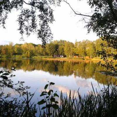 a view of a lake with trees in the background at My Secret Garden in Diepenbeek