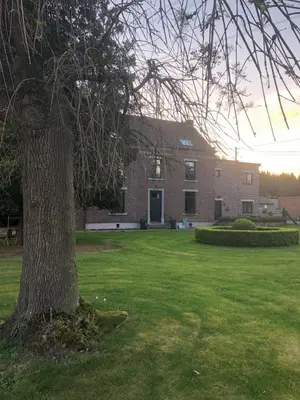 a tree in front of a large house at Villa van Brienen in Dilsen-Stokkem