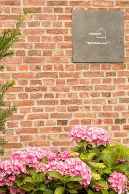 a brick wall with pink flowers and a sign on it at Vakantiewoning Het Oude Laer in Bilzen