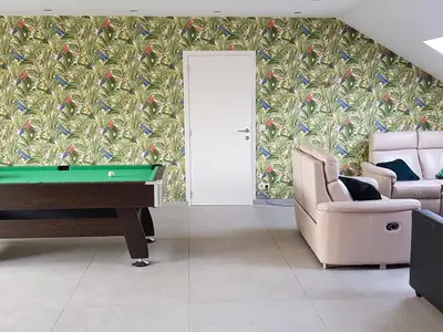 a living room with a pool table and a couch at LA BINAMERIE in Remicourt