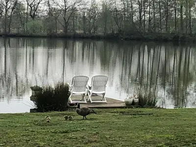 two chairs and a duck on the grass near a lake at Vakantiewoning ‘t Reigersnest in Zonhoven