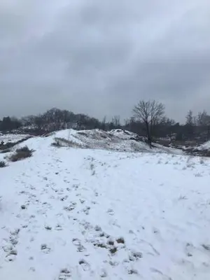 a snow covered field with footprints in the snow at Bij de lindeboom in Maaseik